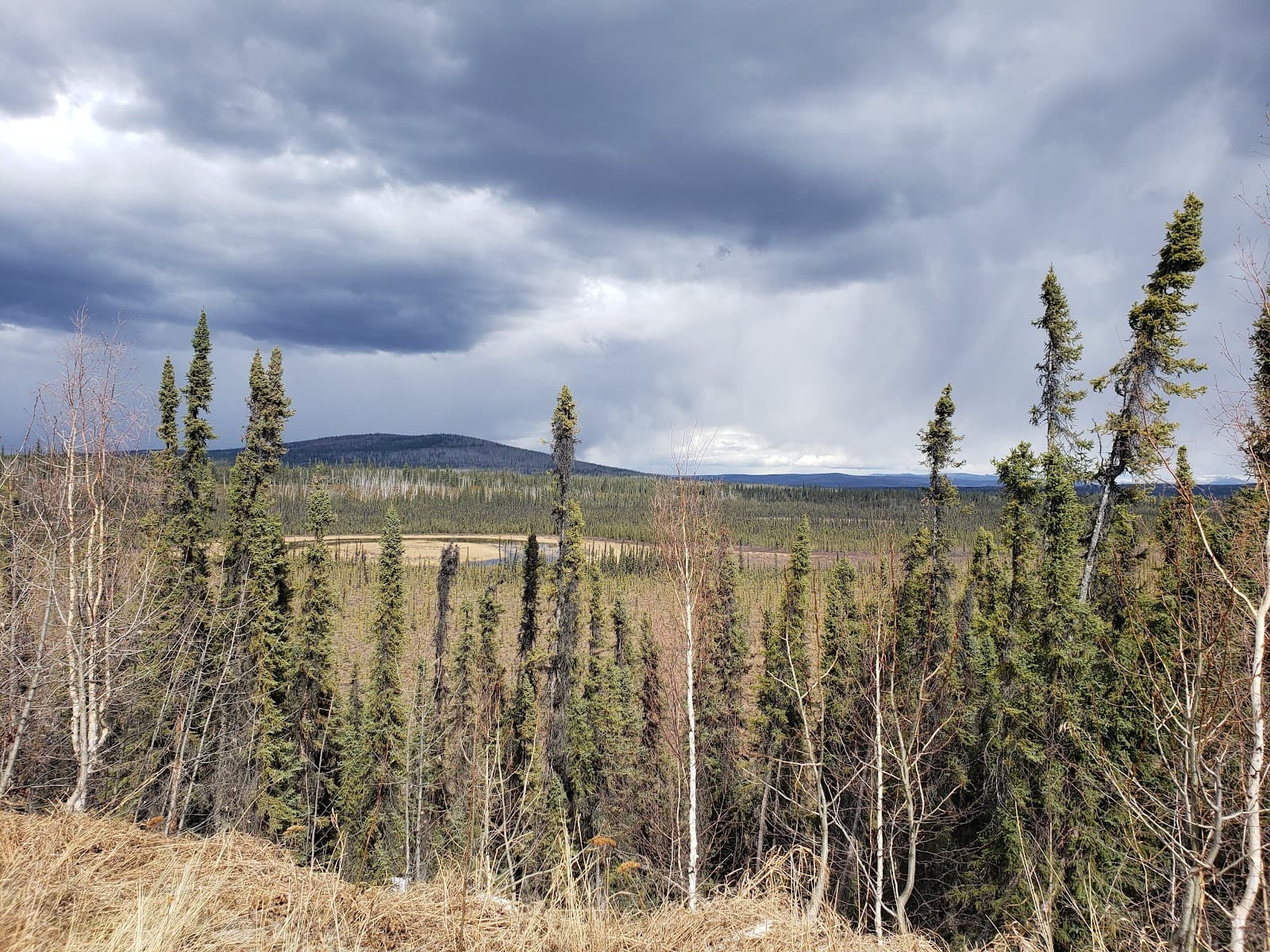 Circle K | Truck Stop on AK-2